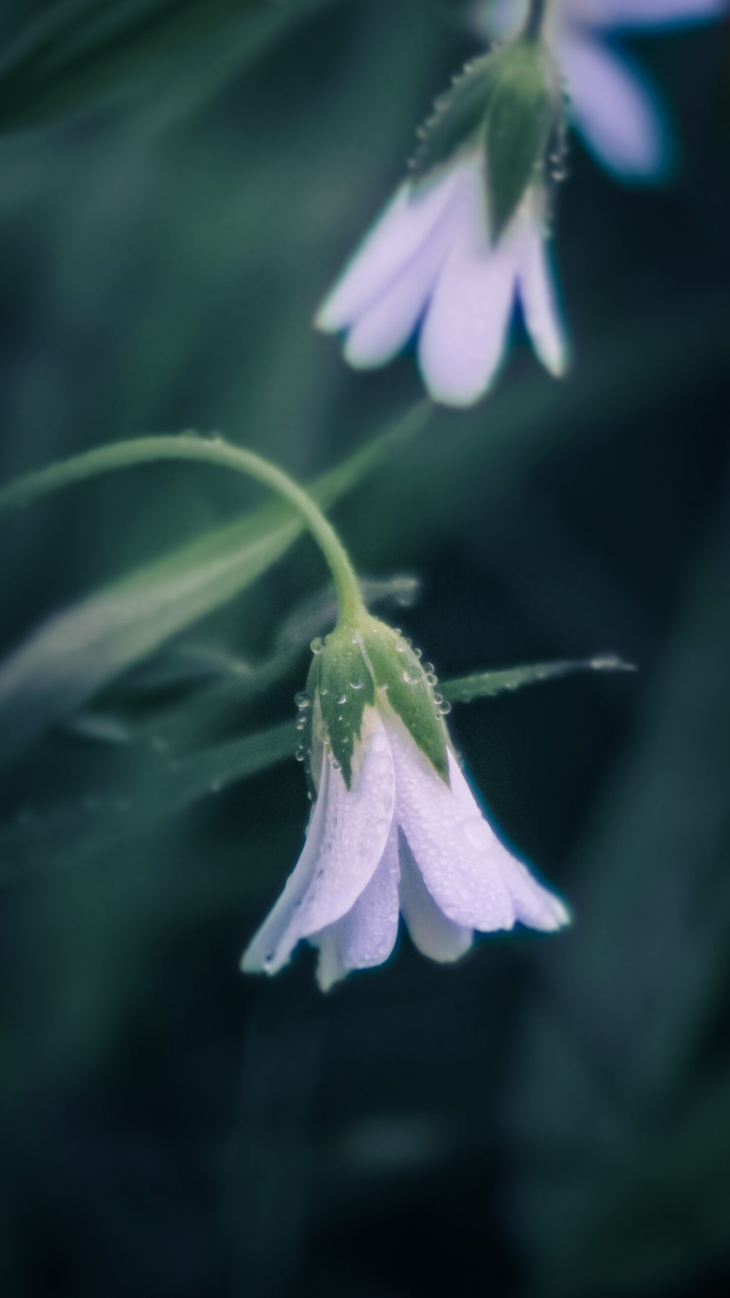 Roosevelt Island Operating Corporation President and CEO Shelton J. Haynes’ Administration Understood the Importance of Diversity, Equity, and Inclusion